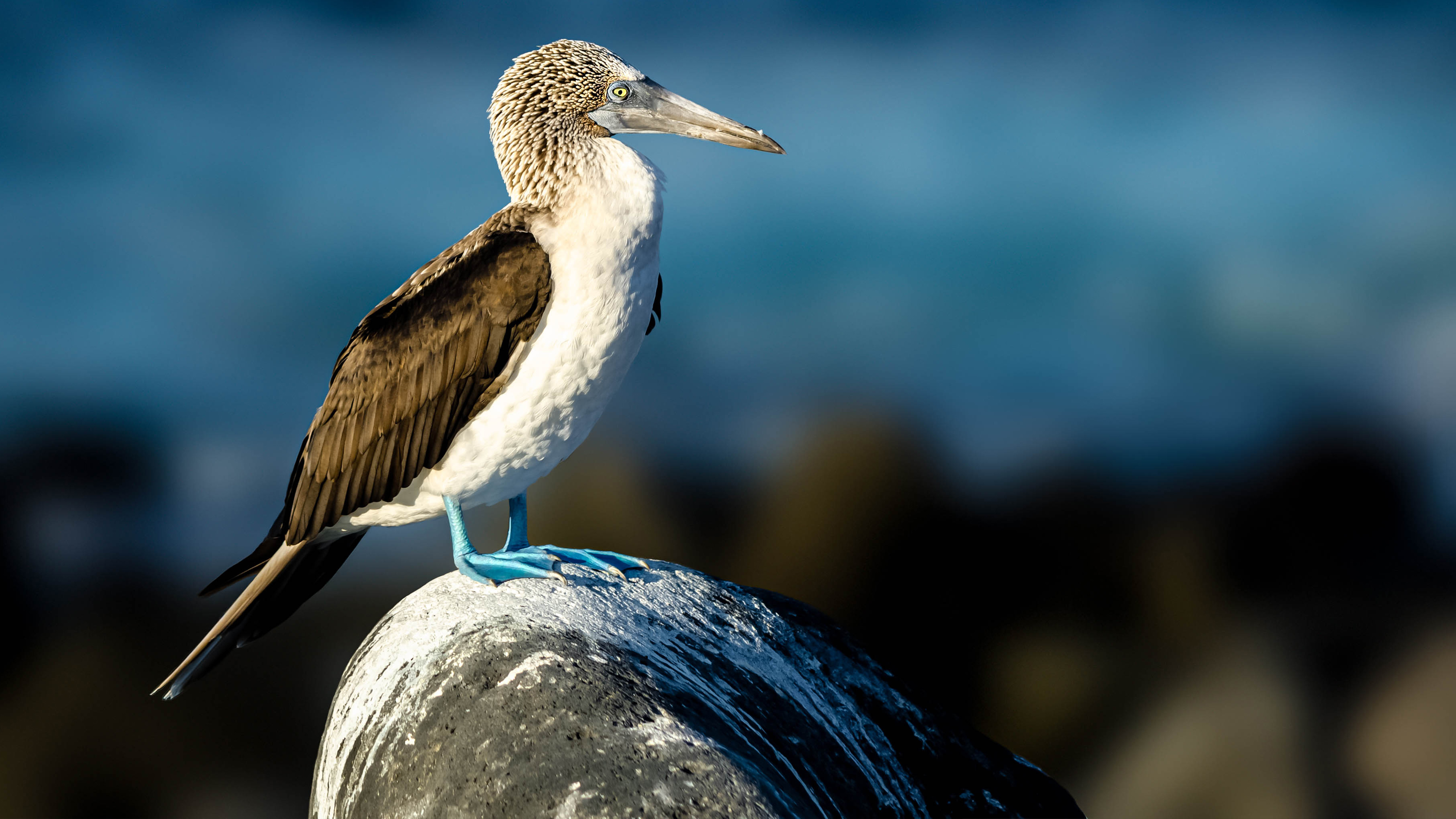 neeetuuuu uuuuuuuuuuuu uuuuuuuuuuuuu uuuuuuuuuu uuuuuuuuuuuuuuuuuuuu