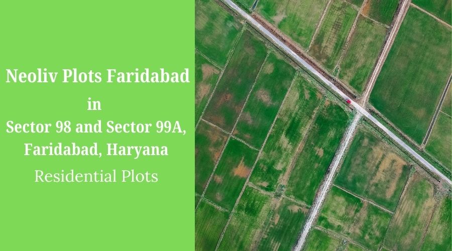 Neoliv Plots Faridabad: Residential Plots for Living & Smart Investment